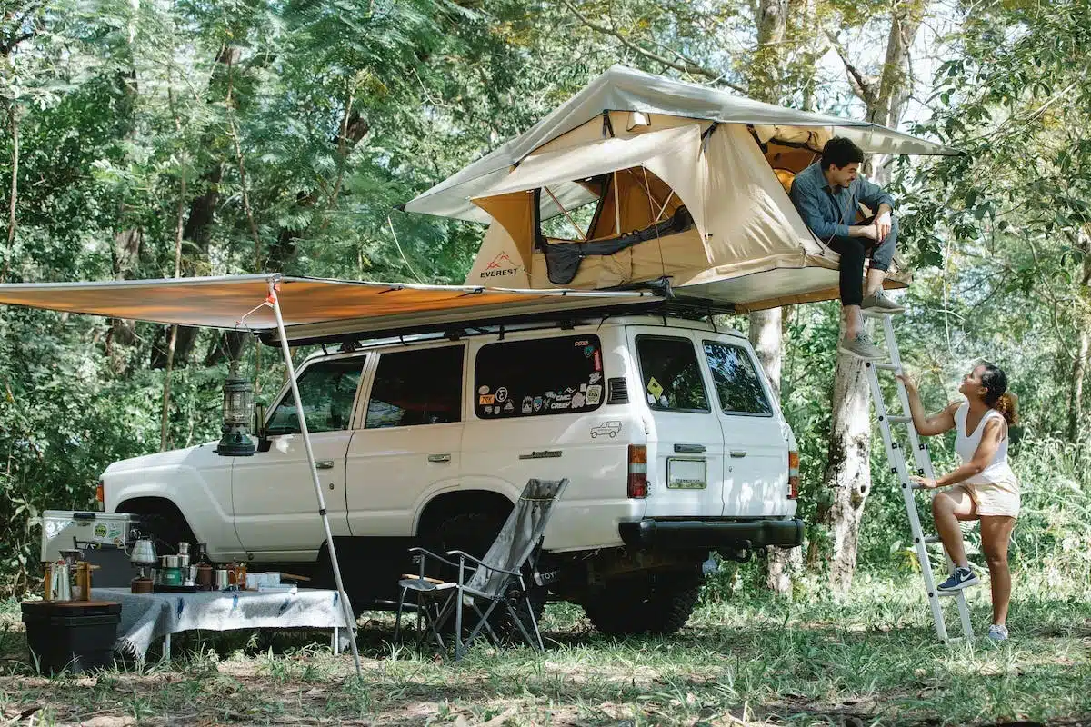 safari croisière