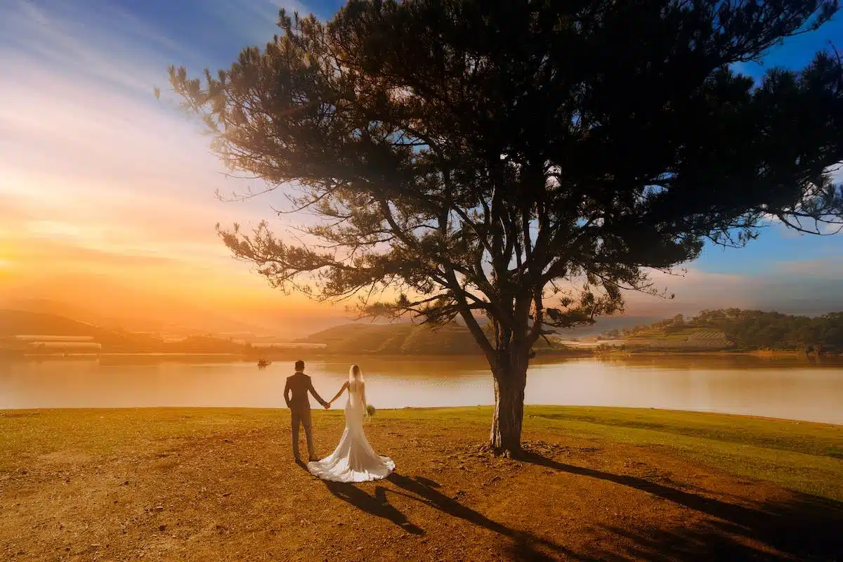 mariage  harmonie